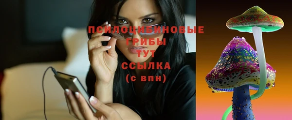 ПСИЛОЦИБИНОВЫЕ ГРИБЫ Инта