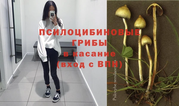 герыч Инсар