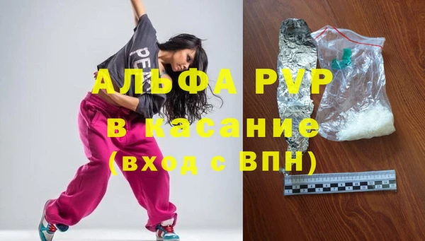ПСИЛОЦИБИНОВЫЕ ГРИБЫ Инта