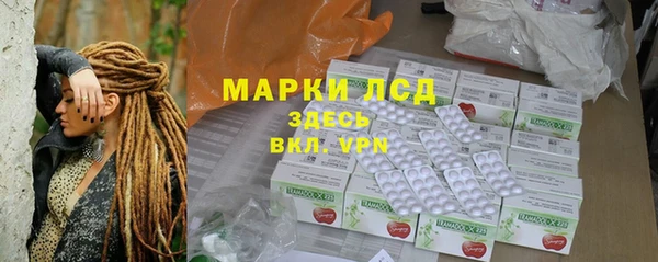 ПСИЛОЦИБИНОВЫЕ ГРИБЫ Инта