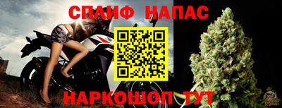 прущие грибы Апшеронск