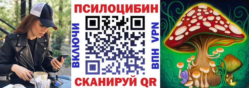 Галлюциногенные грибы Psilocybine cubensis Нижний Новгород
