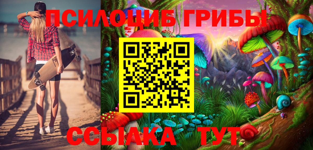Псилоцибиновые грибы мицелий Нижний Новгород