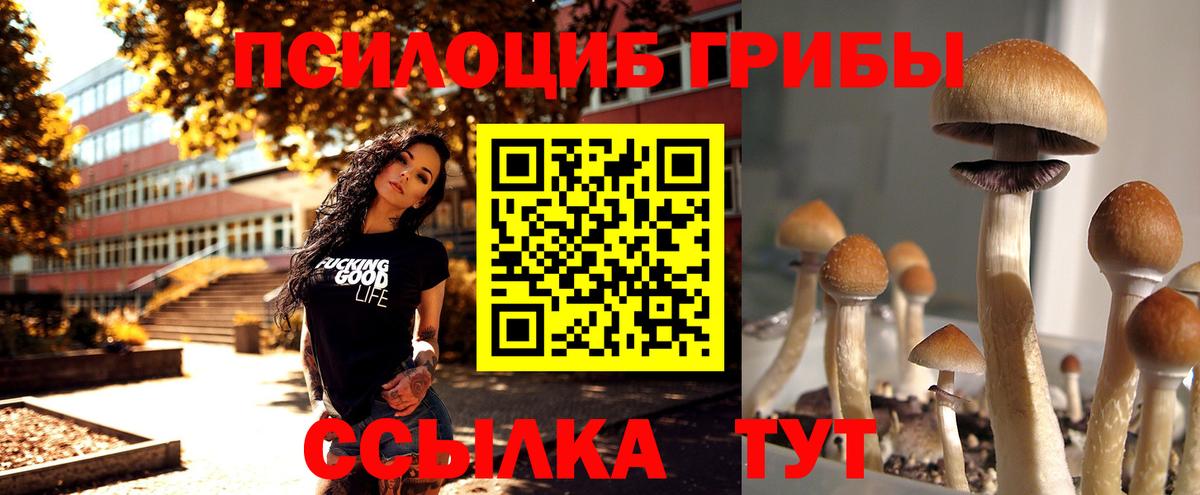 Галлюциногенные грибы MAGIC MUSHROOMS  где можно купить   Нижний Новгород  Вход с VPN 